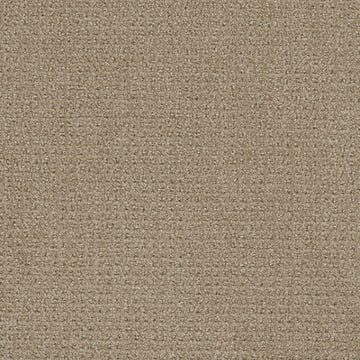 Warm Sand -104