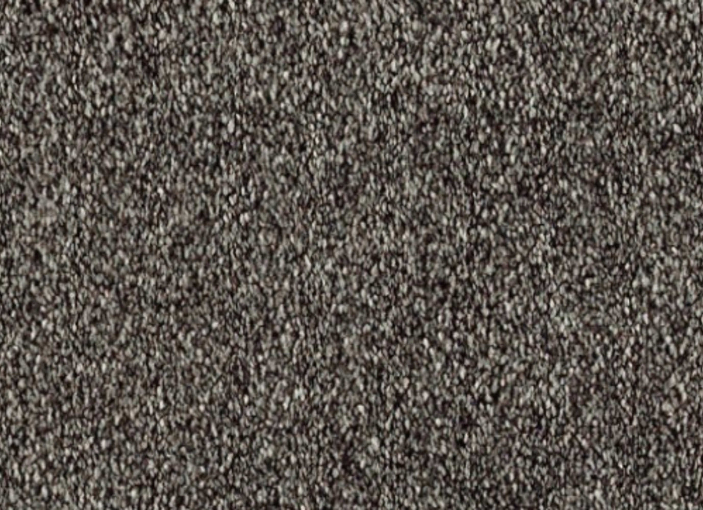 Lavish Statement in Magnetic Carpet