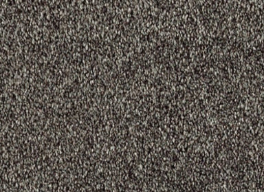 Lavish Statement in Magnetic Carpet