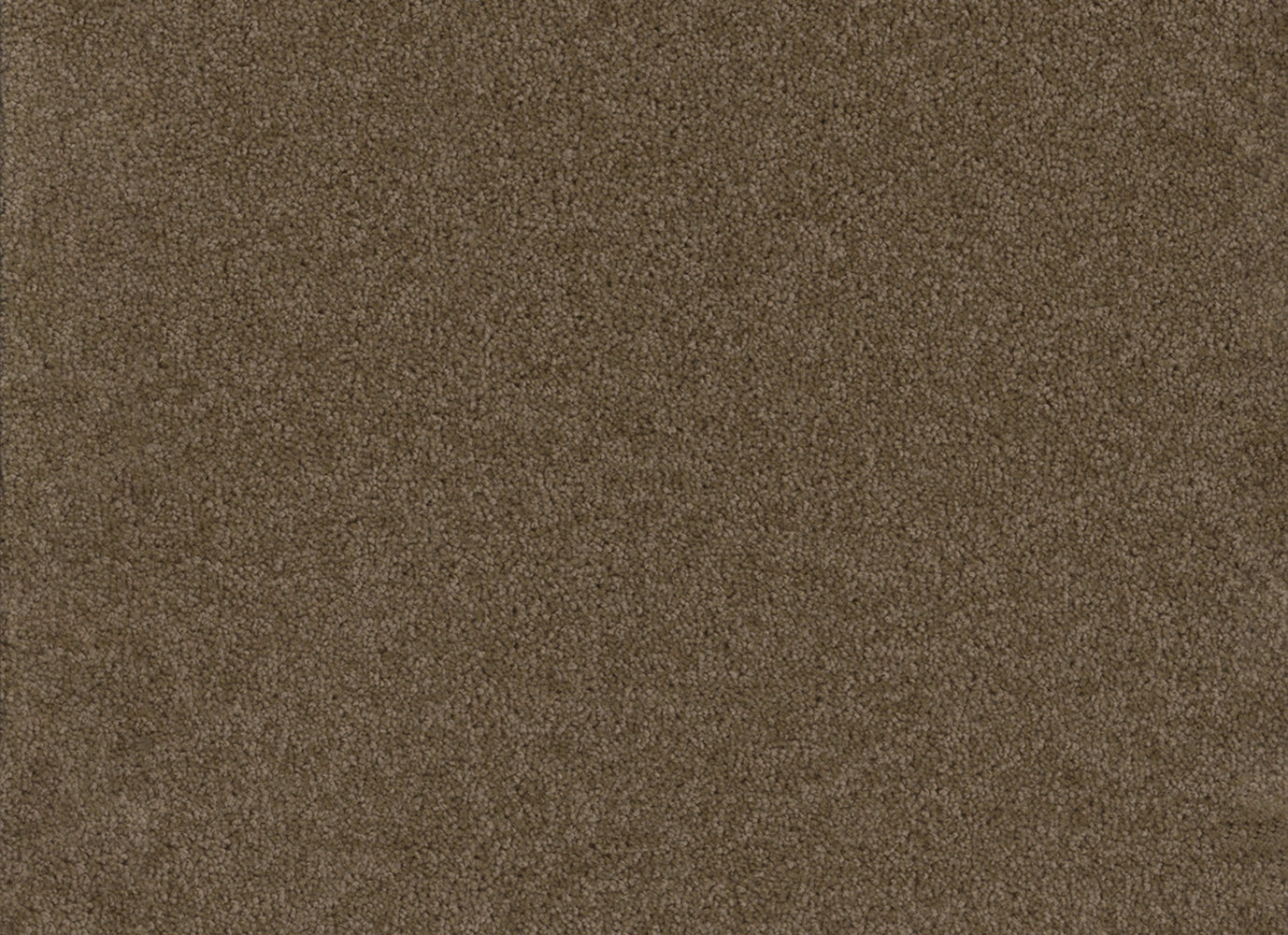 Broadcast in Balsam Carpet