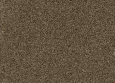 Broadcast in Balsam Carpet