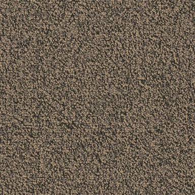 Chivalry 20 in Honor Carpet