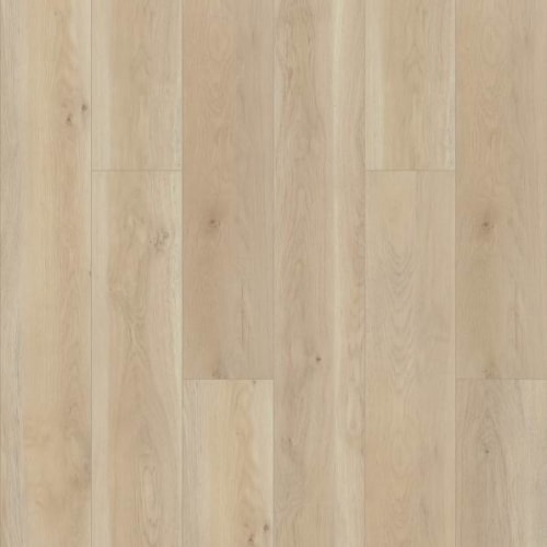 PARAGON HD+NATURAL BEVEL in Cambridge