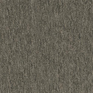 Quicksilver 26 in Platinum Carpet