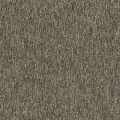 Streaming 20 in 2945 Carpet