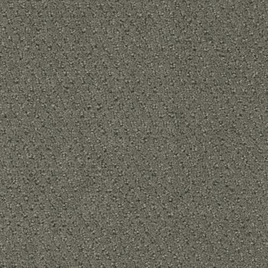 Domain in Terra Firma Carpet