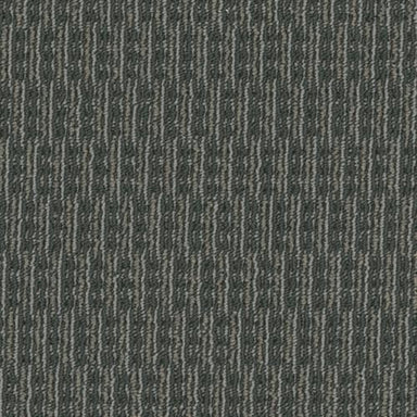 Rogue in Marauder Carpet