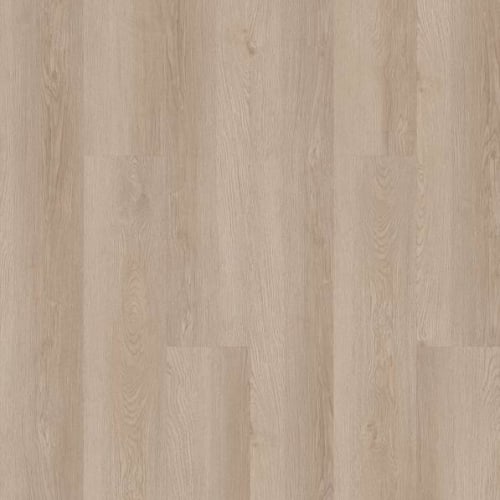 INFINITE SPC in Pampas