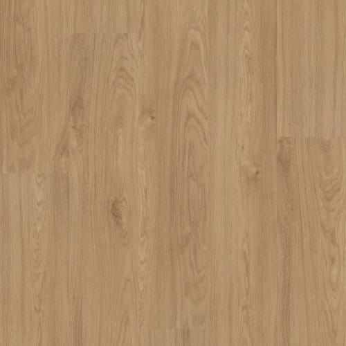 INFINITE SPC in Honeycomb