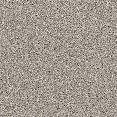 BROADCAST PLUS in Silver Birch Carpet