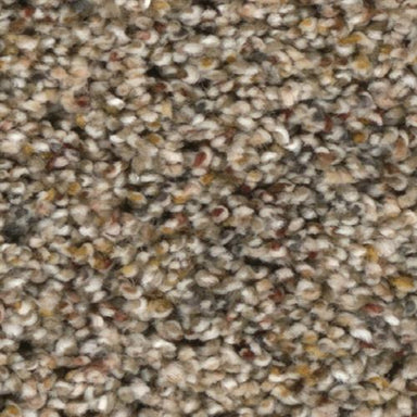 Confetti II in Harmonic Tan Carpet