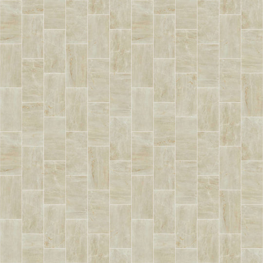 TRACE 12X24 POLISH in Creme