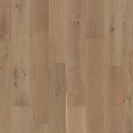 Brevanna in Cobble Path Oak