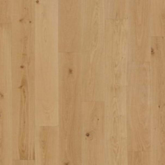 Brevanna in Stonewashed Oak Hardwood