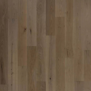 Bellacree in French Gray Maple Hardwood