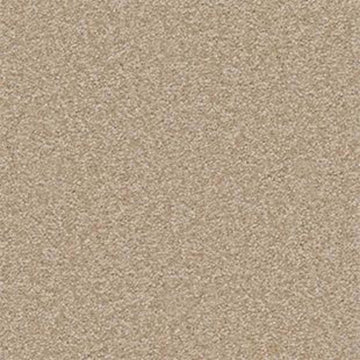 Sahara
