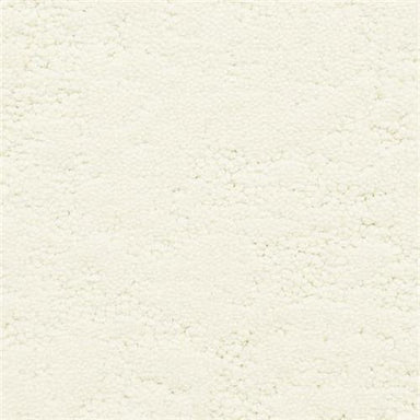 Phenomena in Reflection Carpet