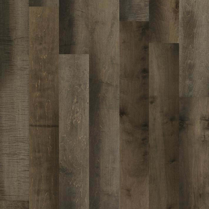 BLUE BELL MAPLE in Mount Rushmore Hardwood