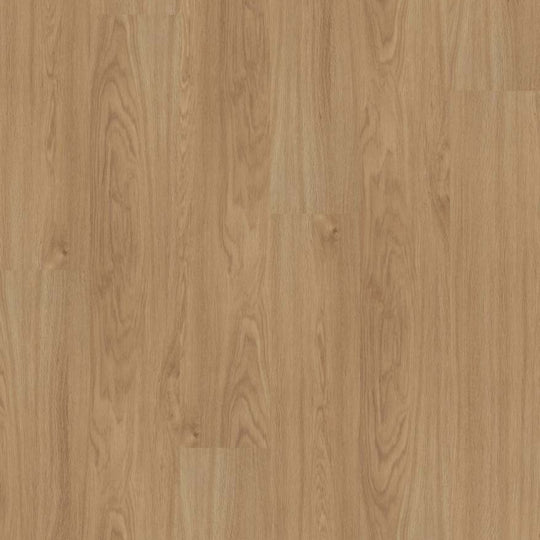 LIMITLESS 8 in Honeycomb