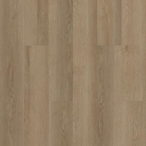 LIMITLESS 8 in Grand Canyon