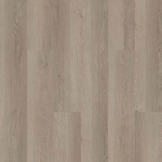 LIMITLESS 8 in Pampas