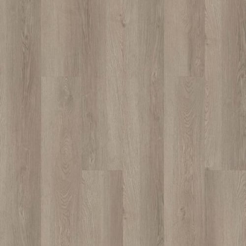 LIMITLESS 8 in Pampas