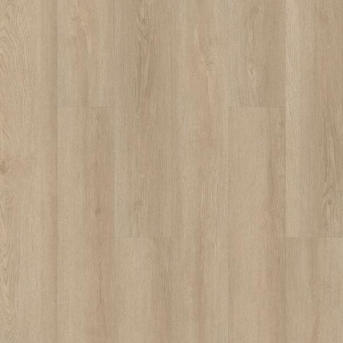 LIMITLESS 8 in Barley Field