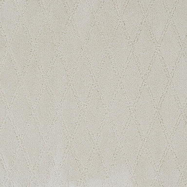 Absolute in Superb Carpet