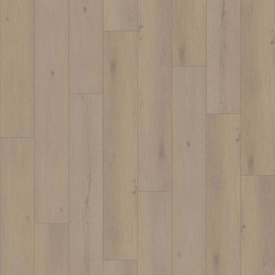 NORTHERN VOYAGE 9 in Petaluma