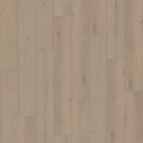 NORTHERN VOYAGE 9 in Petaluma