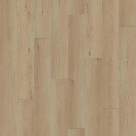 NORTHERN VOYAGE 9 in Napa