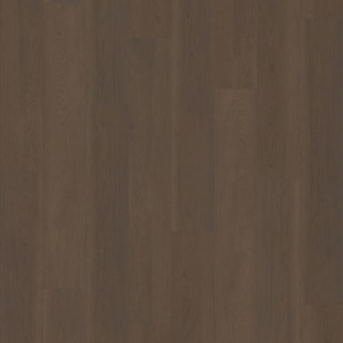 NORTHERN VOYAGE 9 in Rutherford