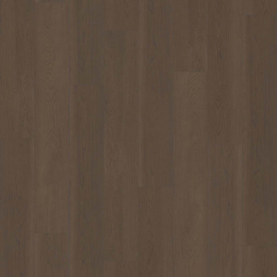 NORTHERN VOYAGE 9 in Rutherford