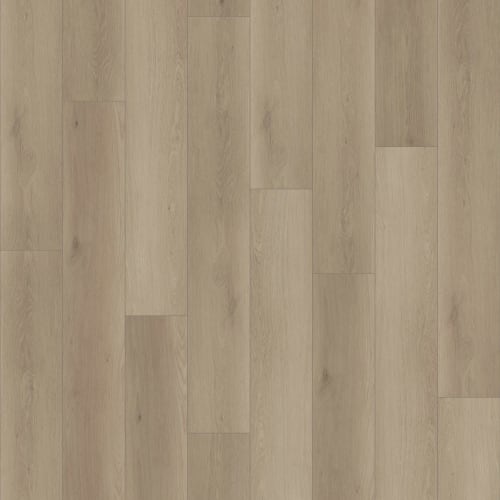 NORTHERN VOYAGE 9 in Calistoga