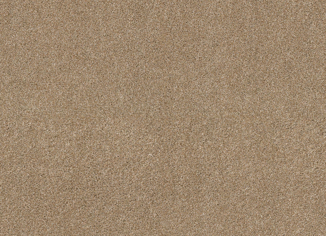 NATURAL BREEZE in Farro Carpet