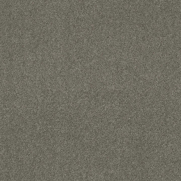City Gray