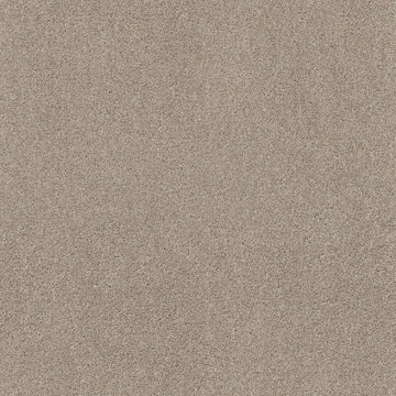 Smoky Suede