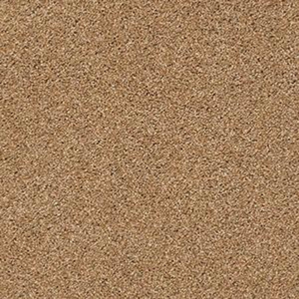 ATLANTIS in Saddle Carpet