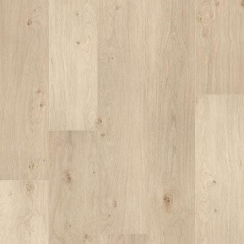 FRESH TAKE in Wishbone