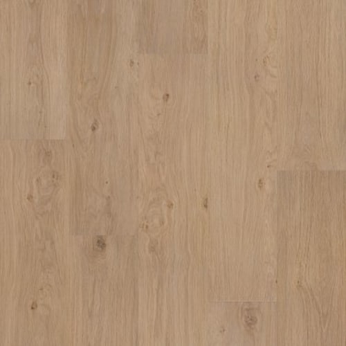 FRESH TAKE in Occasional Beige