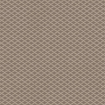 Creekbed