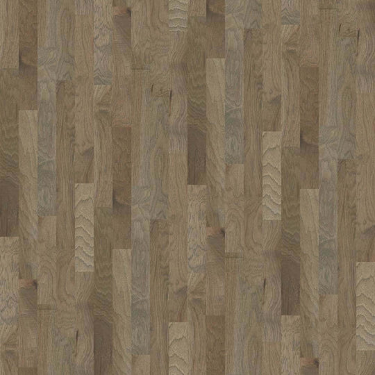 TB CAMPBELL CREEK SMOOTH in Chestnut