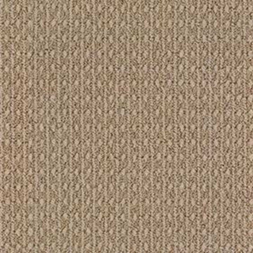 Desert Suede