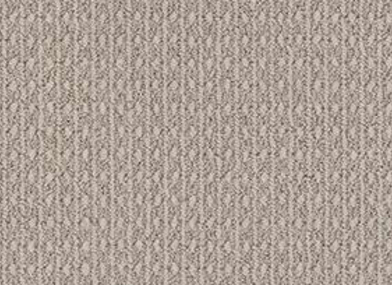 SALIDIN in Silver Taupe Carpet