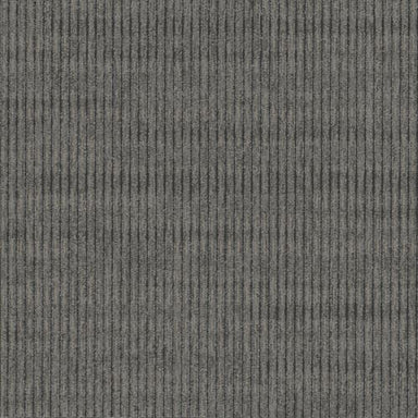 Sidewinder Broadloom in Night Sky Carpet