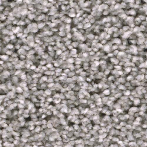 Trendsetter I in Dove Carpet