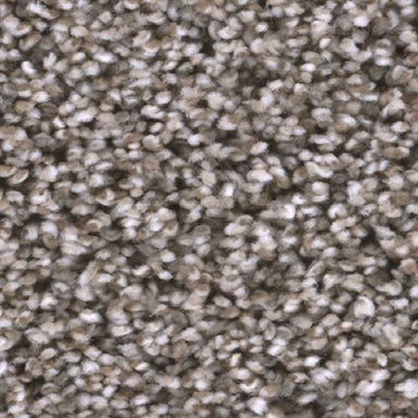 TRENDSETTER II in Sageview Carpet