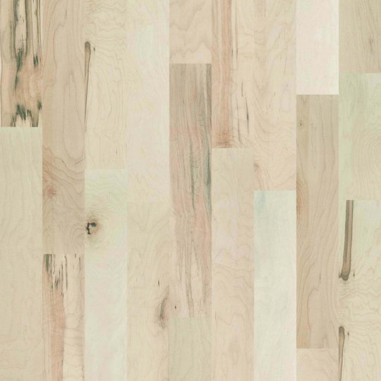 TB ESSENCE MAPLE in Americana