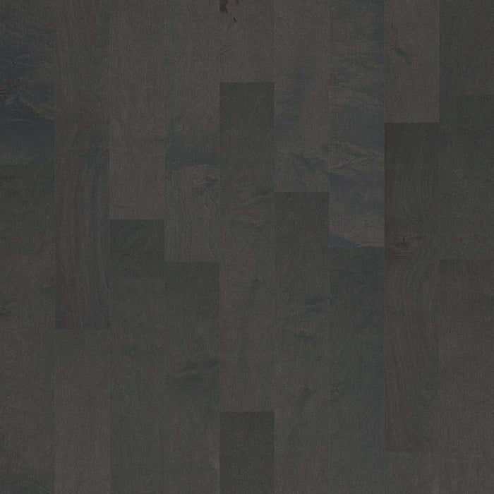 TB ESSENCE MAPLE in Contemporary Hardwood