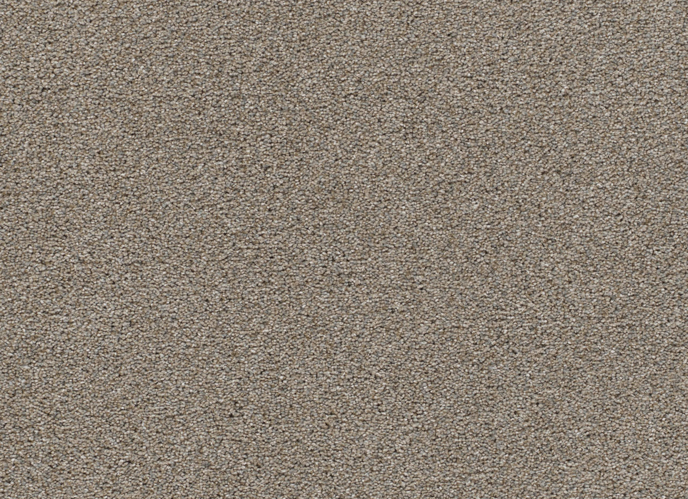 MALIBU I in Oyster Shoal Carpet